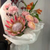 Hoa protea
